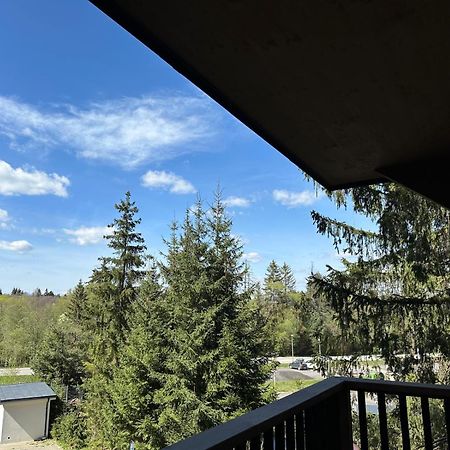 Apartman Pod Smrekom Demaenovska Dolina エクステリア 写真