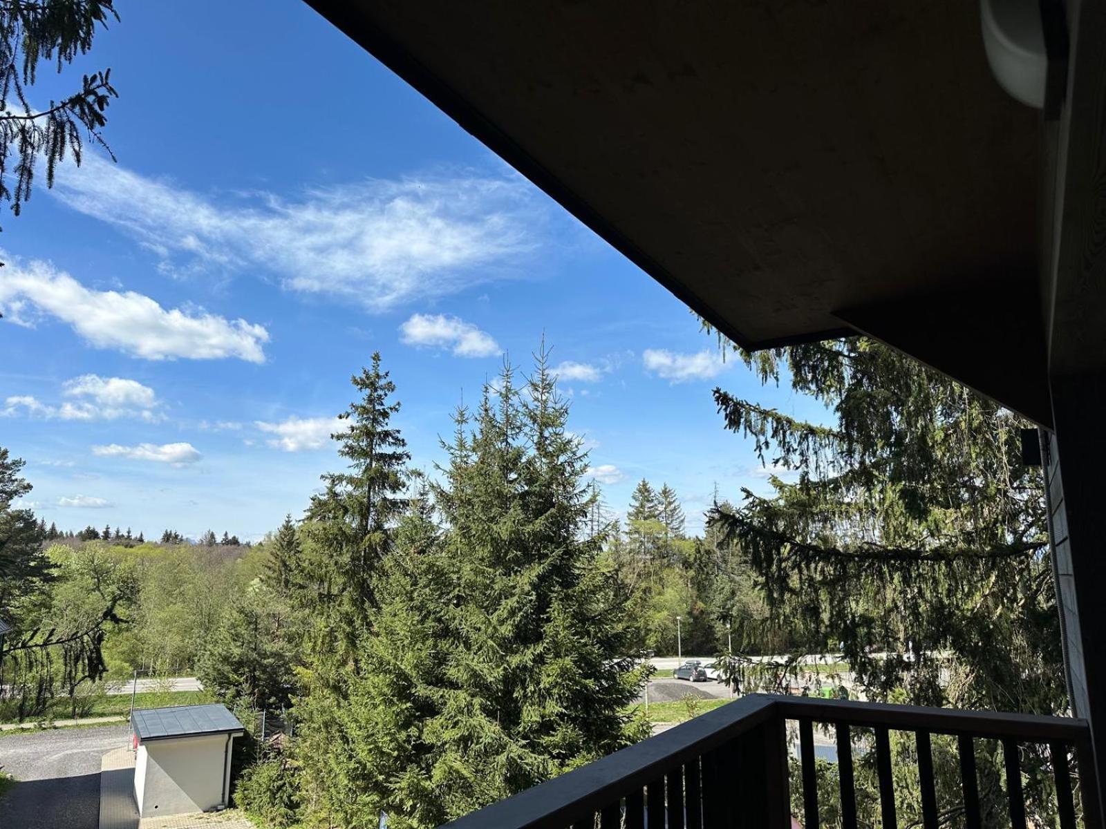 Apartman Pod Smrekom Demaenovska Dolina エクステリア 写真